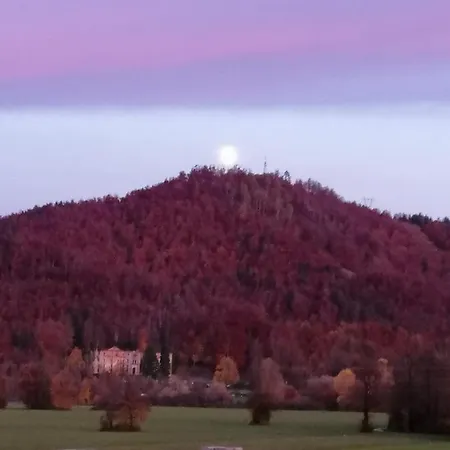 Villa Hisa Haasberg Planina